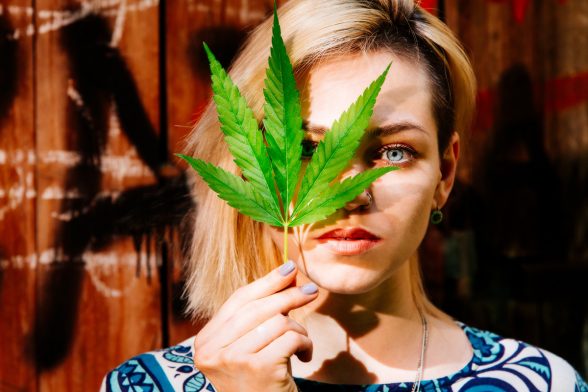 Is Medical Cannabis A Holistic Health Solution?