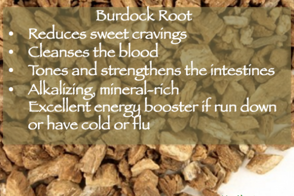 Burdock Root for Stress and Cravings